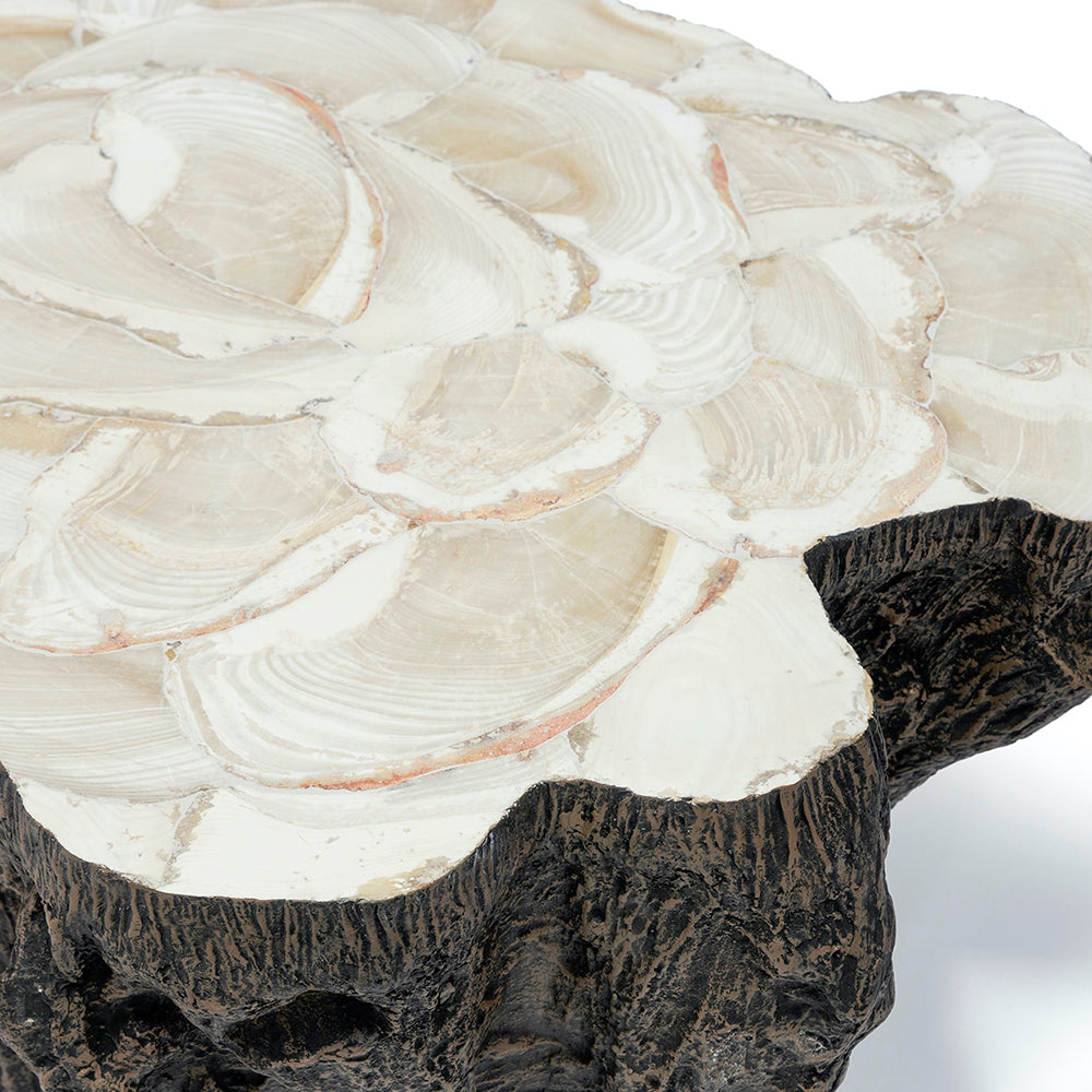 Chloe Fossil Clam Lava Coffee Table